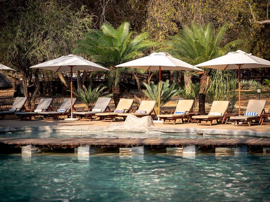 Outdoor pool, sun loungers