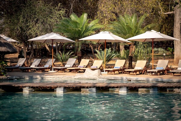 Outdoor pool, sun loungers