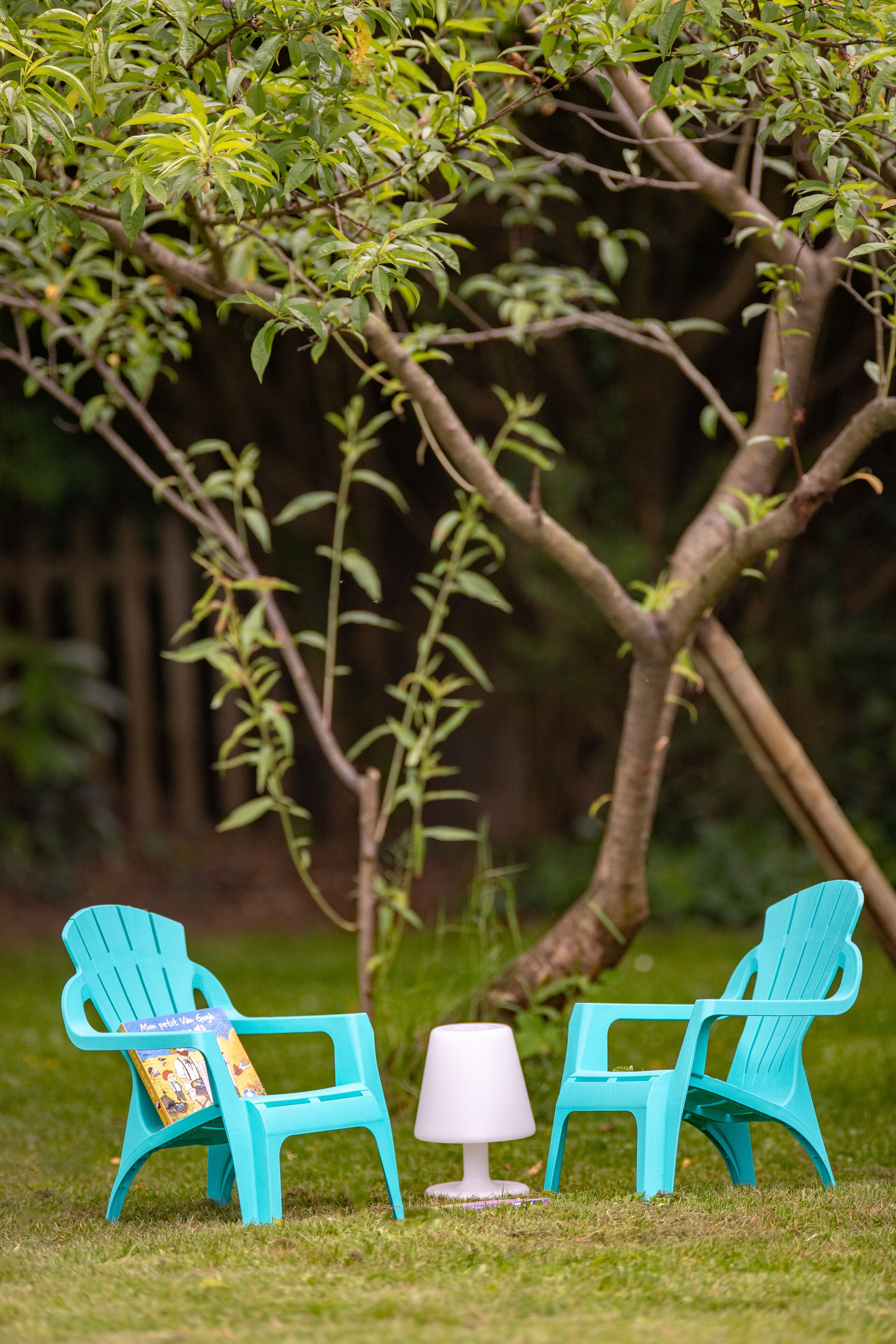Dos sillas turquesa con una pequeña mesa y un libro entre ellas, ubicadas sobre un césped con un árbol de fondo.