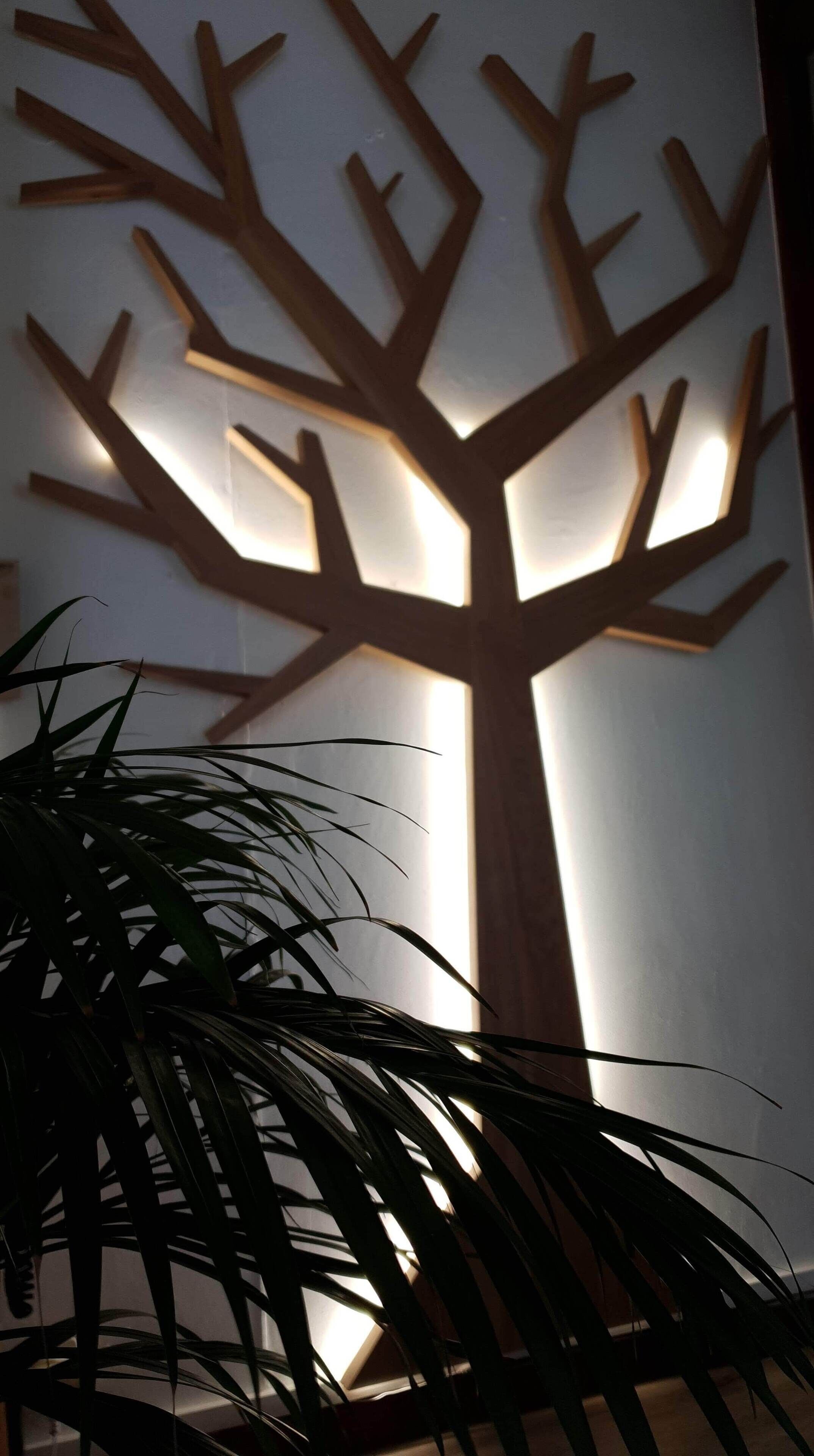 منطقة الاستقبال