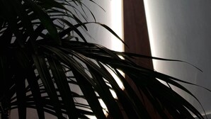 フロント