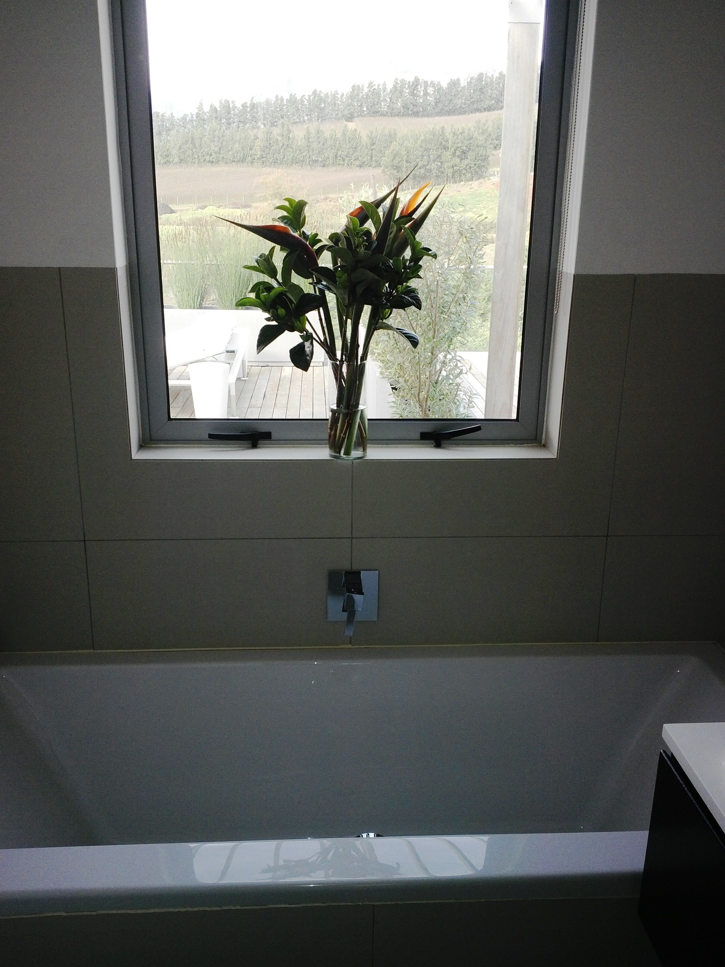 A bathroom with a window, a bathtub, and a small potted plant.
