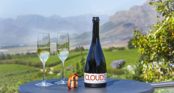 Une bouteille de vin et deux verres sur une table, avec en arrière-plan une vue panoramique sur des montagnes et une végétation luxuriante.