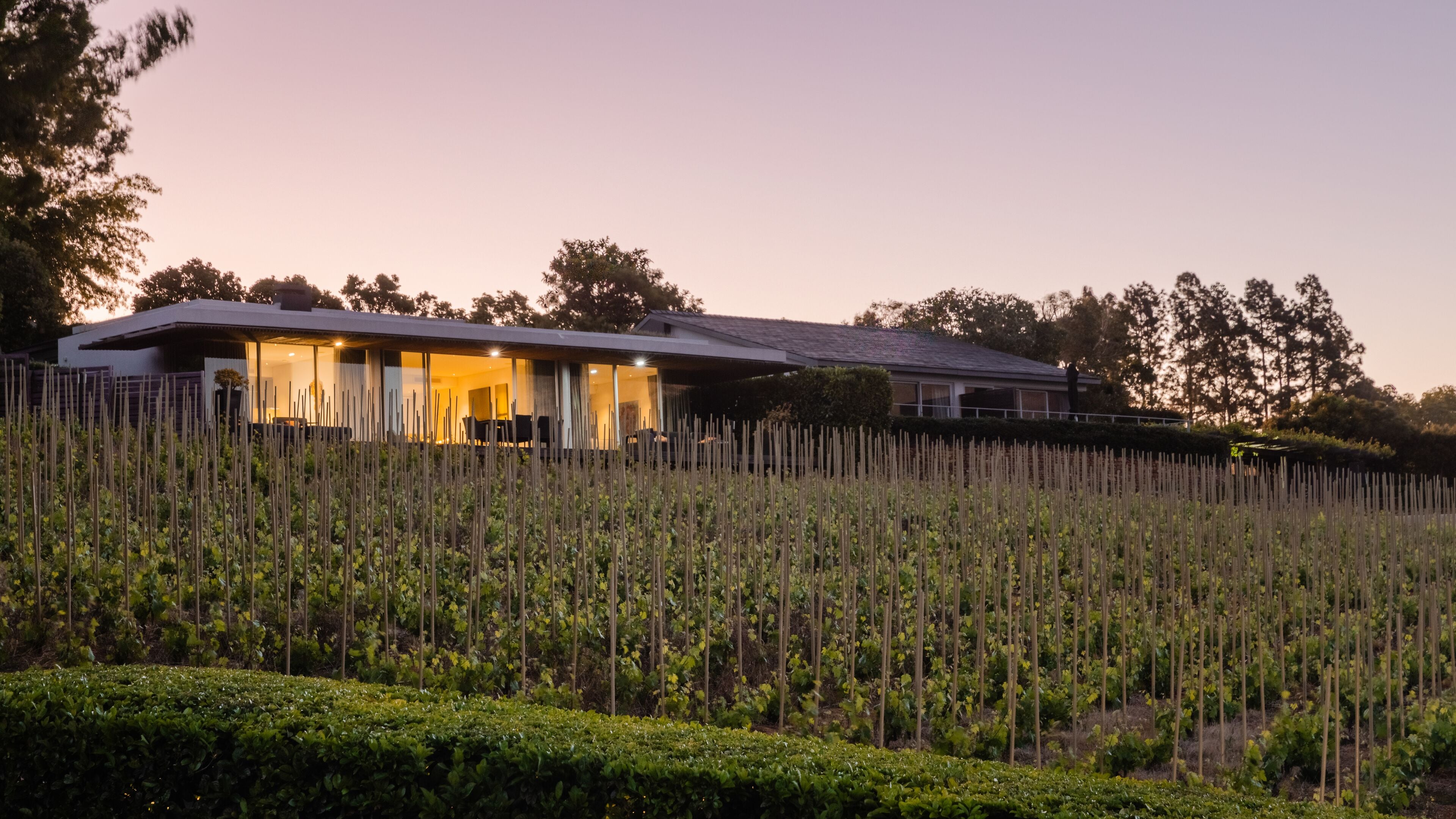 Foto - Clouds Estate