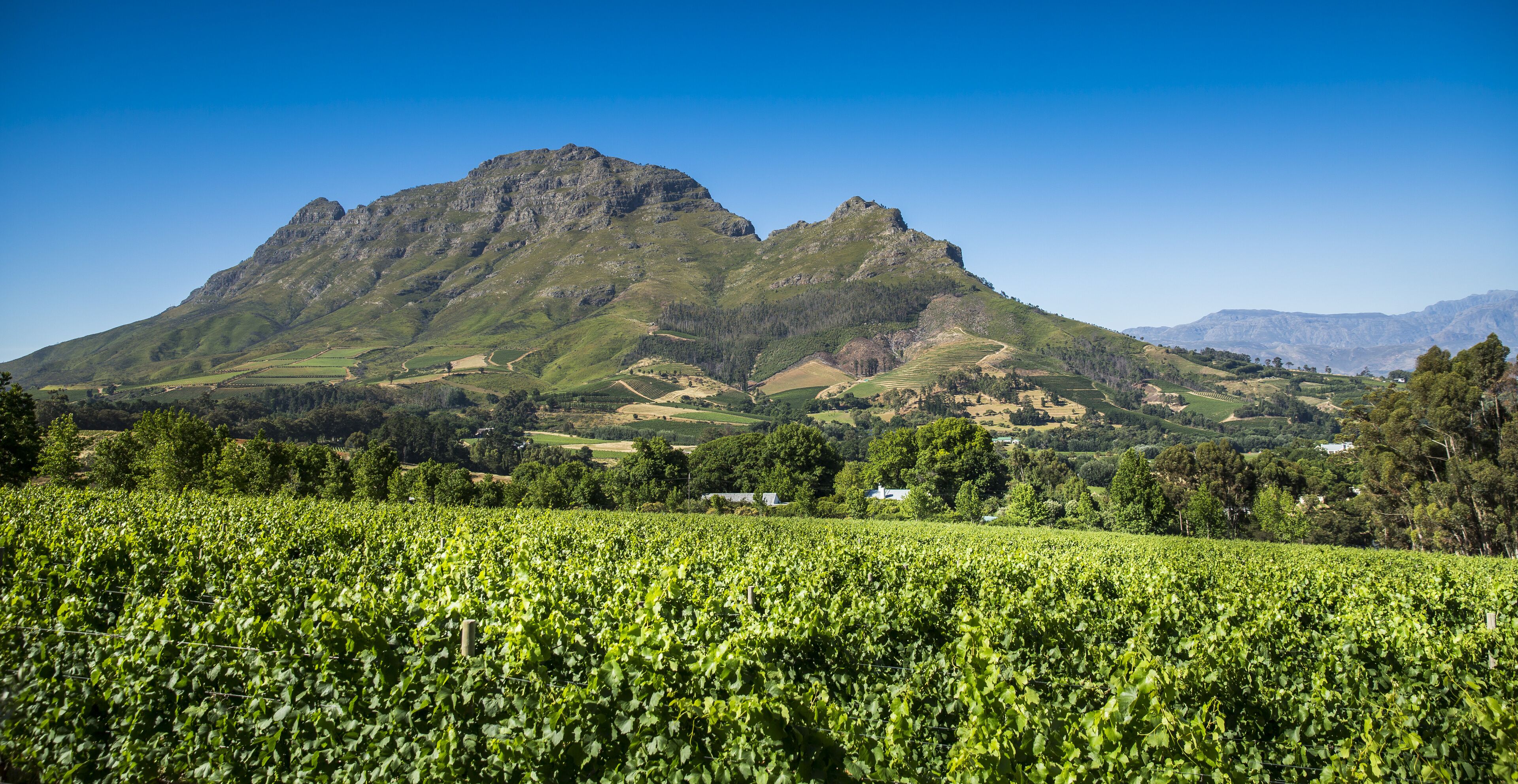 Foto - Clouds Estate