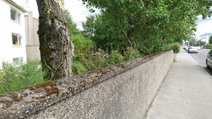 A concrete barrier with moss growth, a sidewalk, and parked cars along a street.