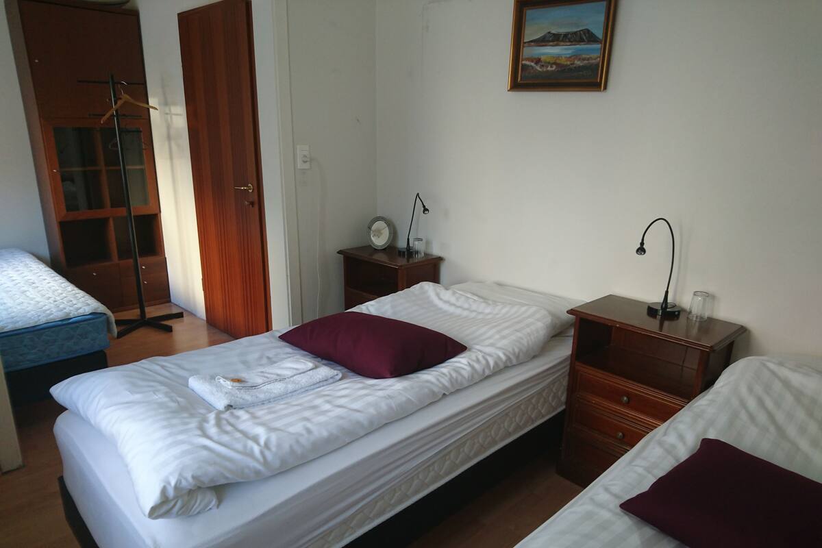 A room with two beds, a wardrobe, a bedside table with a lamp, and a painting on the wall.