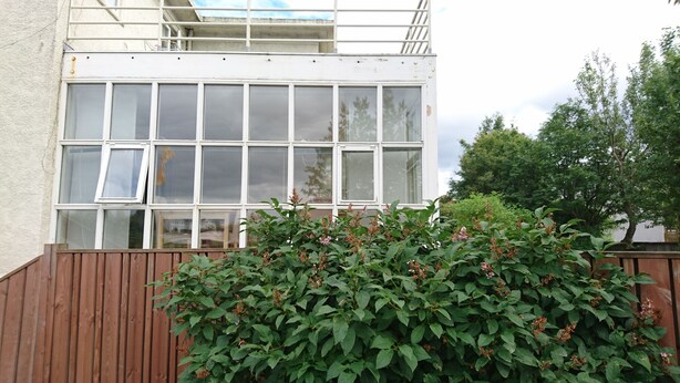 A building with a large window, a wooden fence, and green foliage in front.
