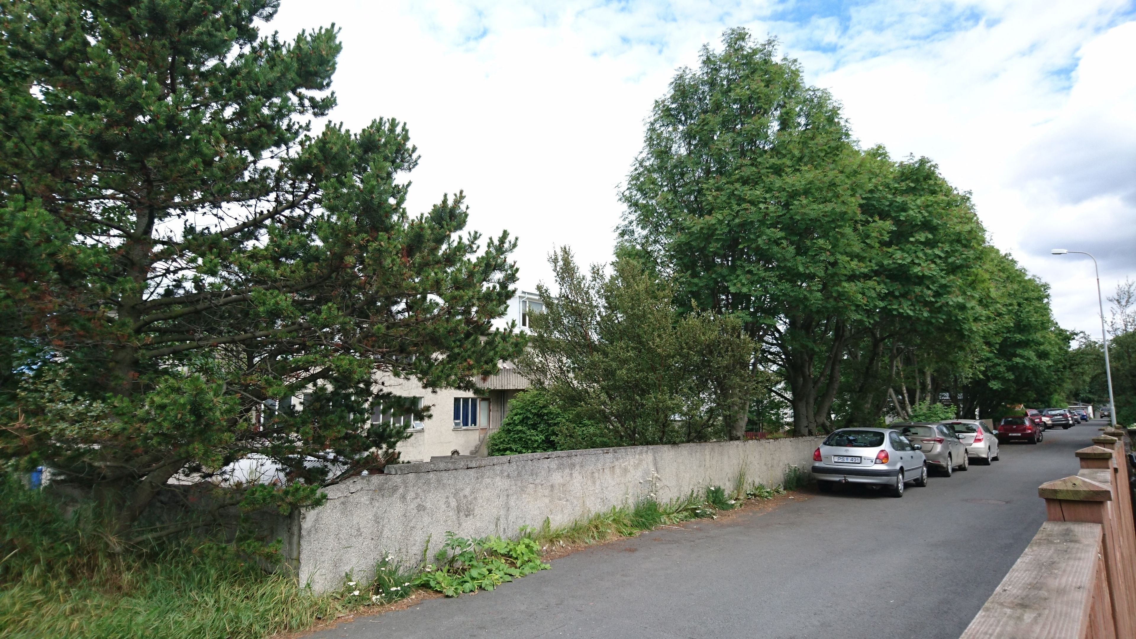 Foto - Alba Guesthouse