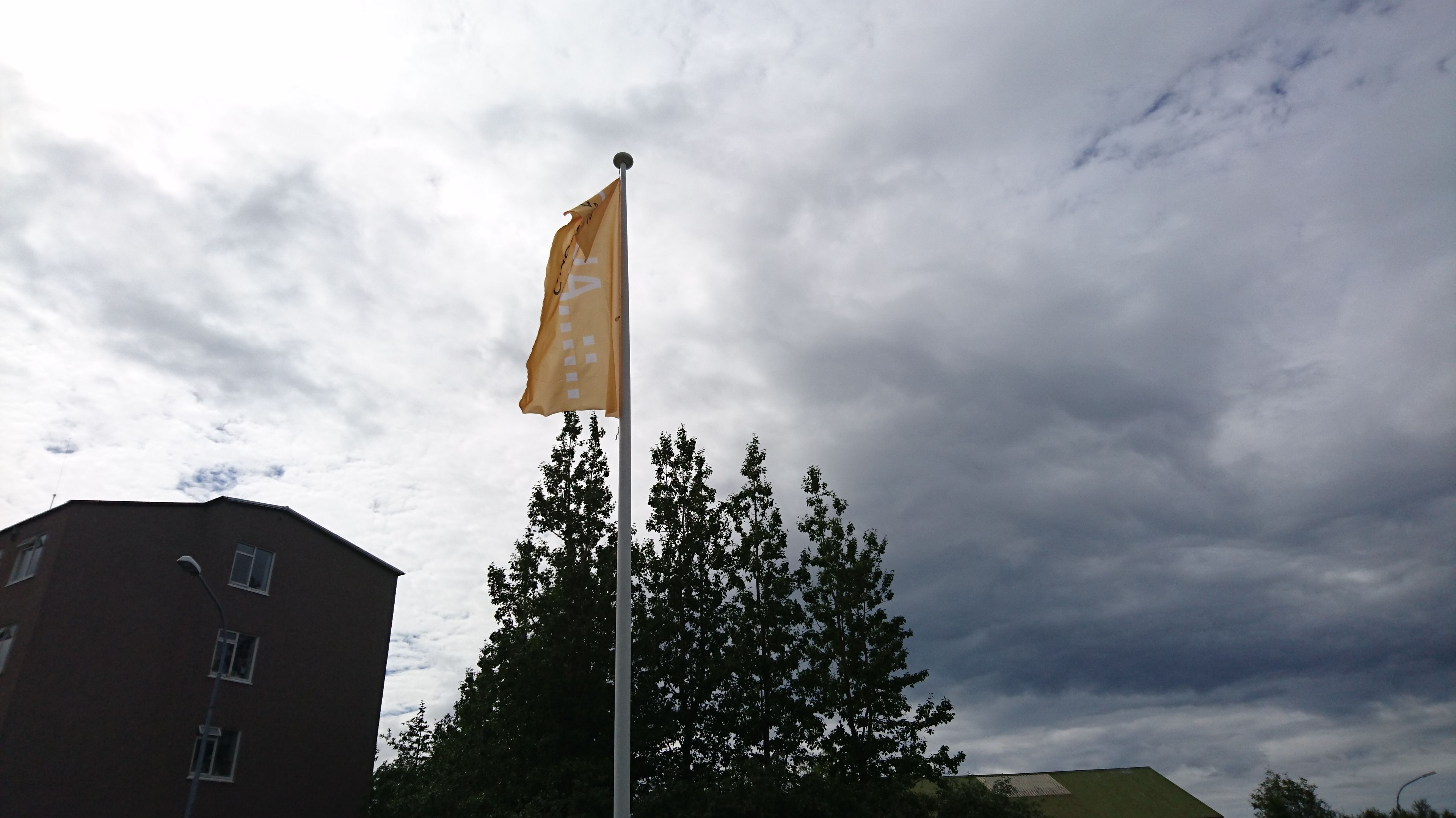Eine Fahnenstange mit gelber Flagge, ein Backsteinhaus und ein Baum.