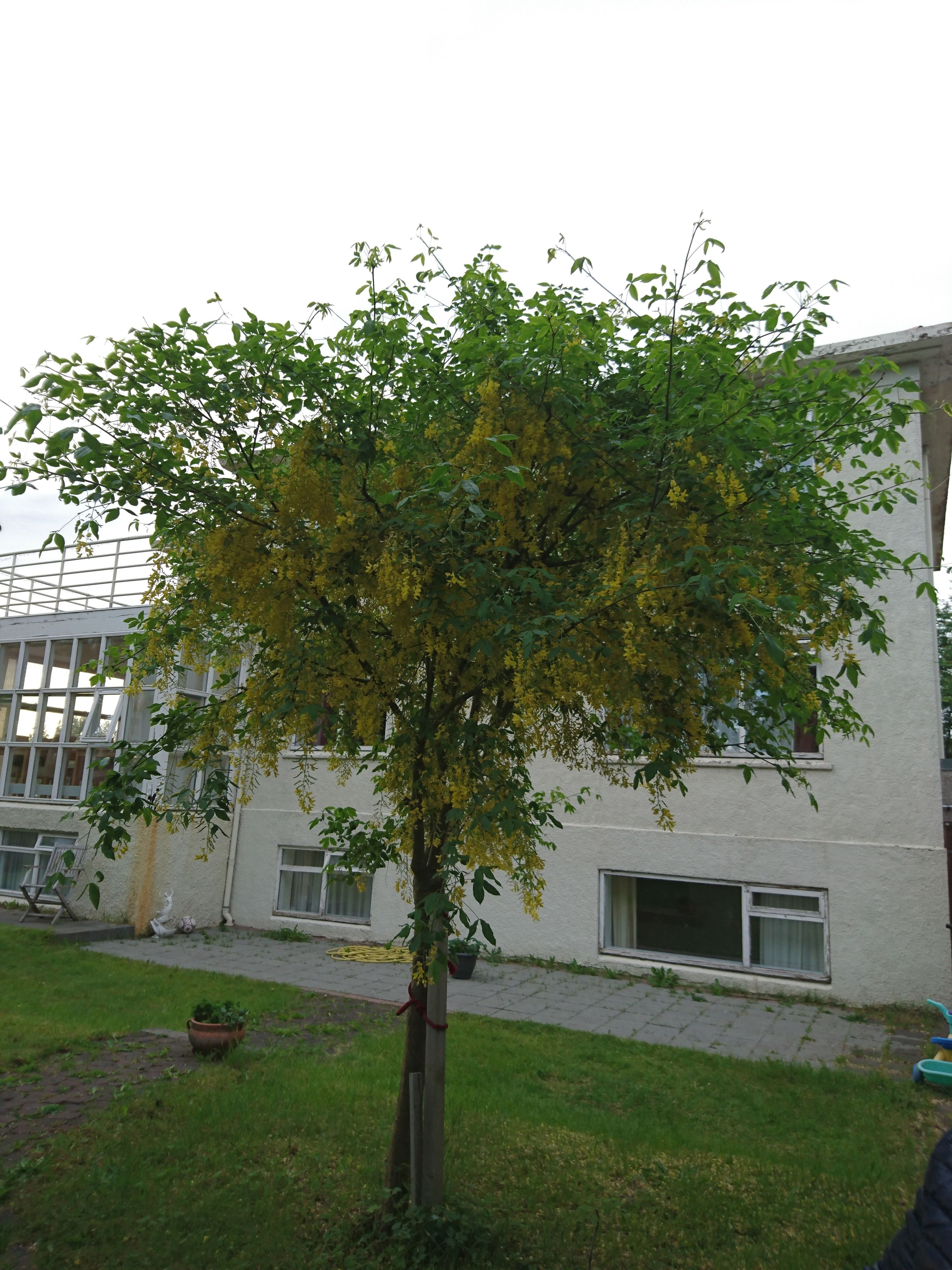 Foto - Alba Guesthouse