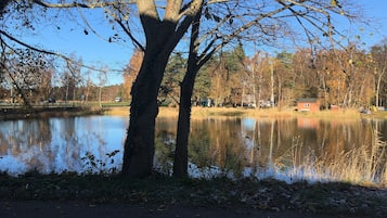 Cena tranquila à beira de um lago, com céu claro, águas calmas e árvores com folhagem outonal.