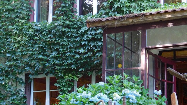 Front of property - La Vigotte (Girmont-Val-d'Ajol)