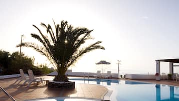 Relax by the serene pool surrounded by a palm tree and lounge chairs.