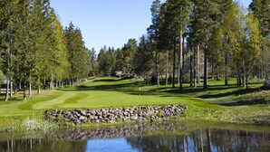 Un campo de golf con un estanque, árboles y un muro de piedra.
