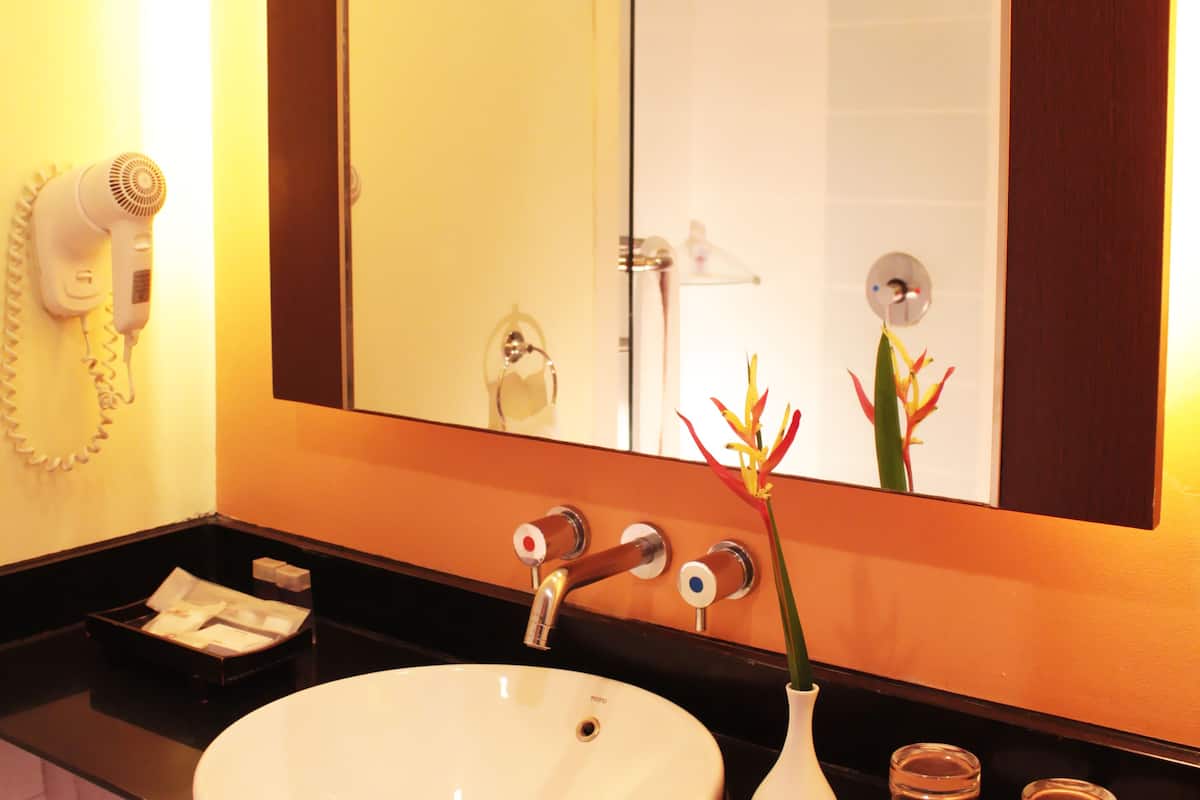 shower, free toiletries, hair dryer, slippers