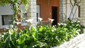 Un jardin avec de grandes feuilles vertes et des fleurs blanches, un mur de pierre et un bâtiment doté d’une fenêtre et d’une porte.