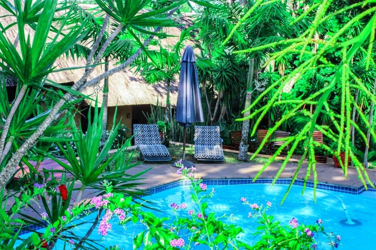 A pool area with a thatched-roof structure, two patterned lounge chairs, and a pool surrounded by lush greenery.