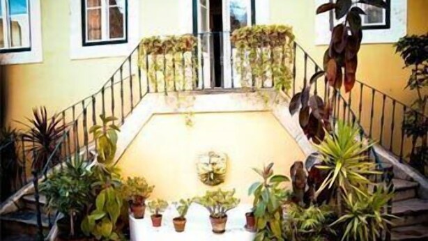 A staircase with multiple potted plants on either side, leading to a door at the top. - Oasis Backpackers' Mansion Lisboa (Lisbon)