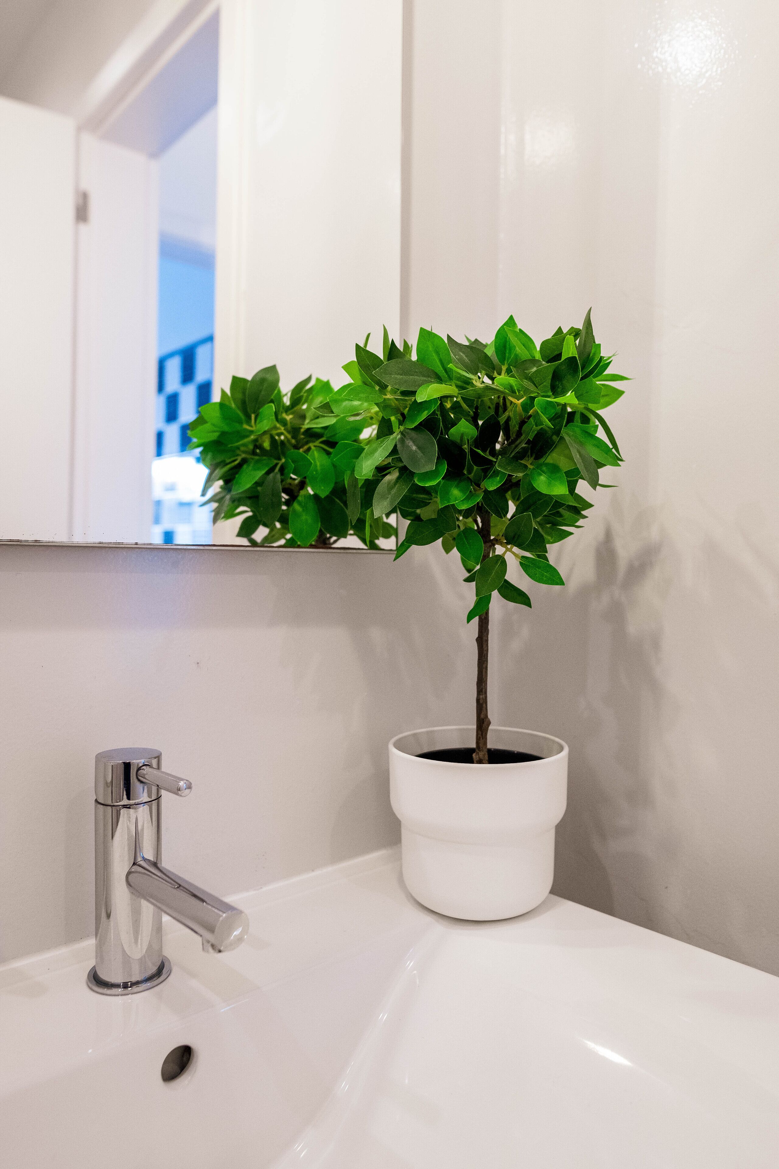 Un lavabo de salle de bain avec une plante en pot, un robinet chromé et un mur blanc.