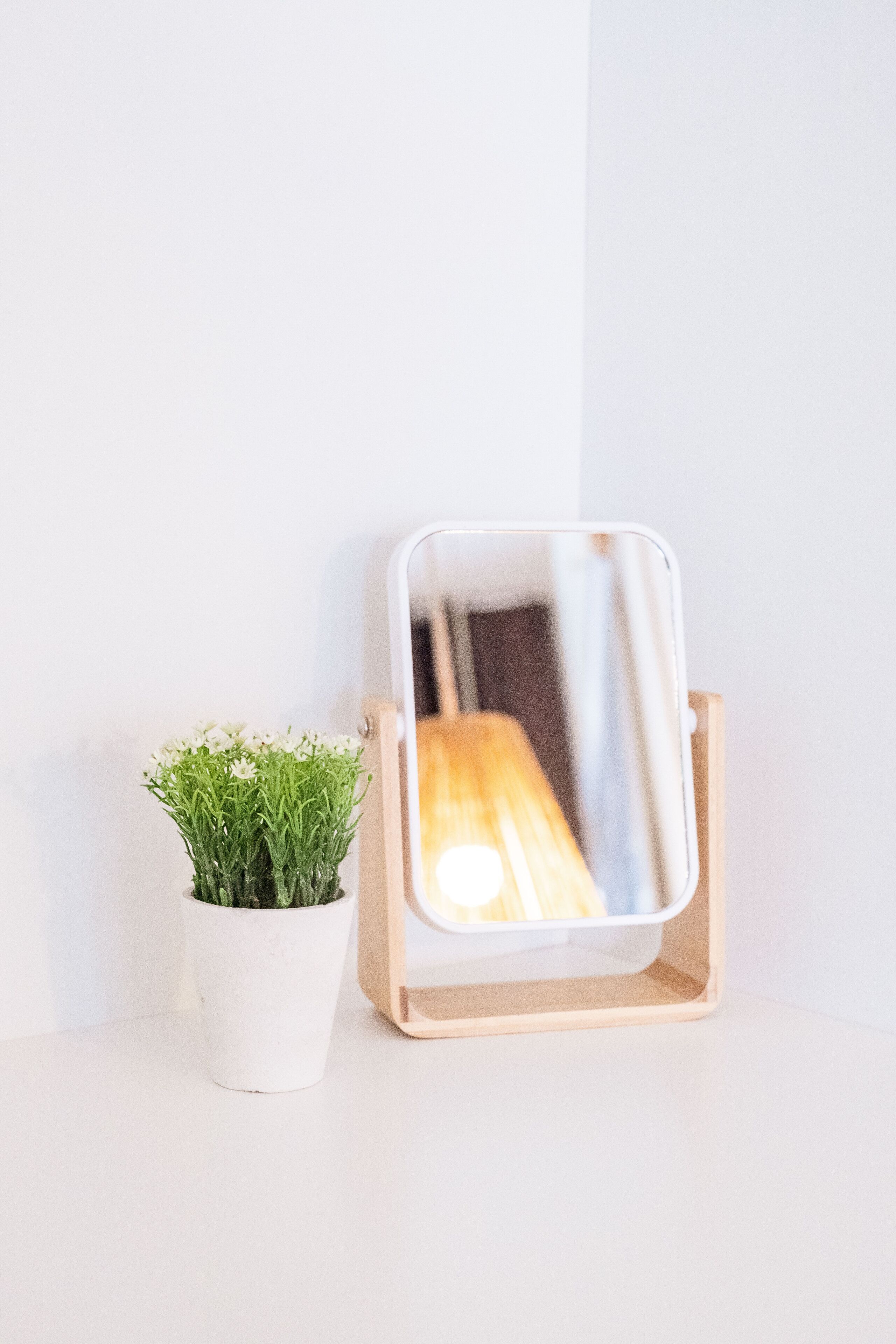 A small potted plant next to a mirror on a white surface.