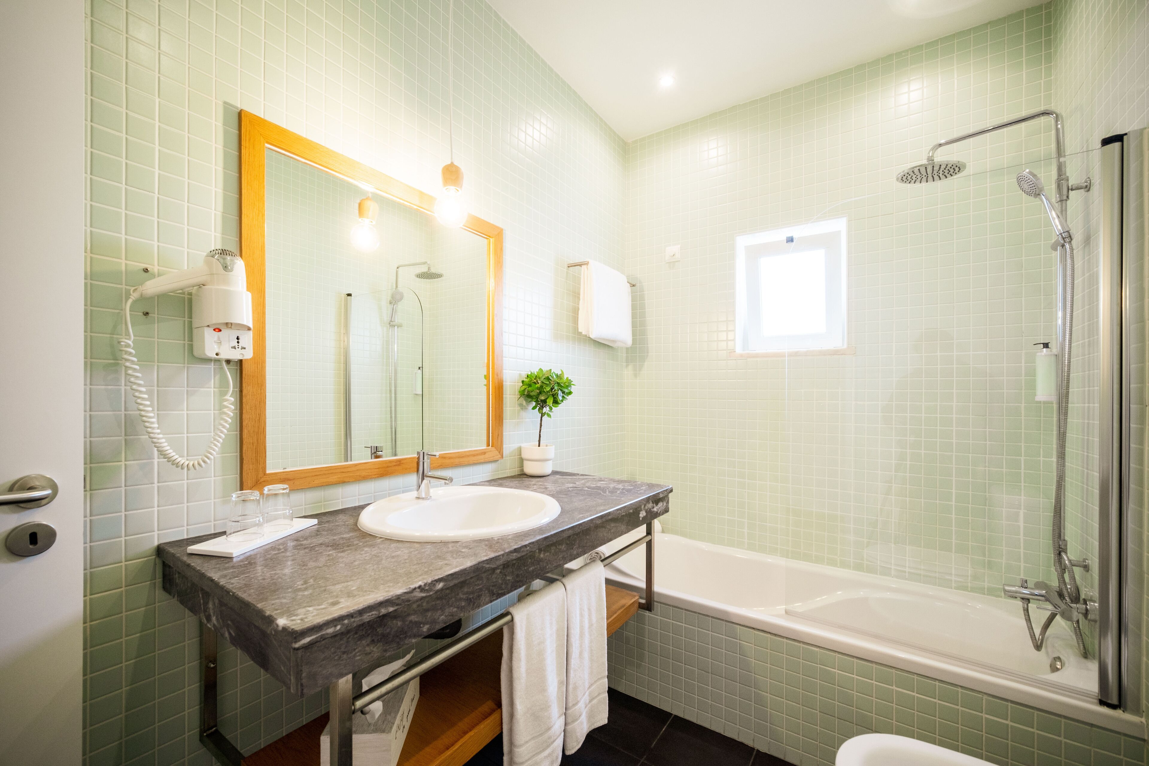 Ein Badezimmer mit Waschbecken, Spiegel, Handtuchhalter, Dusche und einer Pflanze.