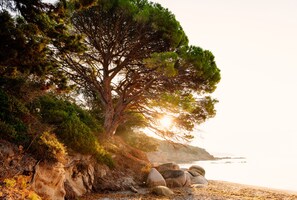 Beach nearby, white sand, beach towels - Les Bergeries de Palombaggia (Porto-Vecchio)