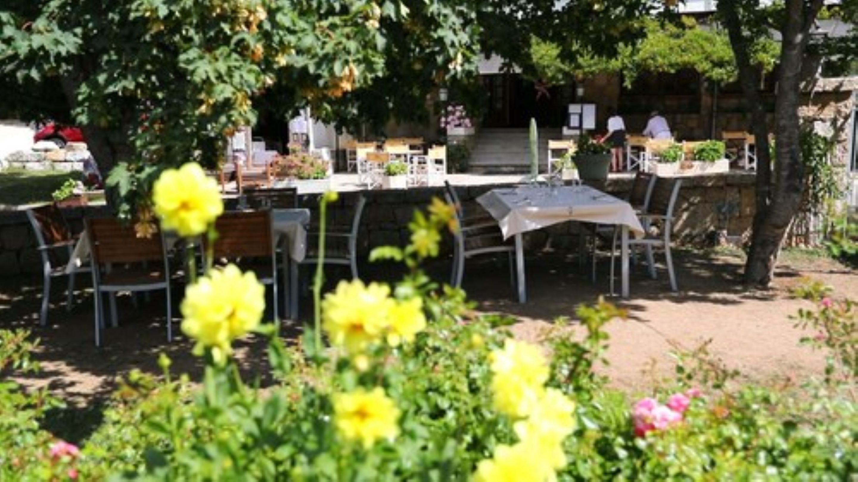 Garten
