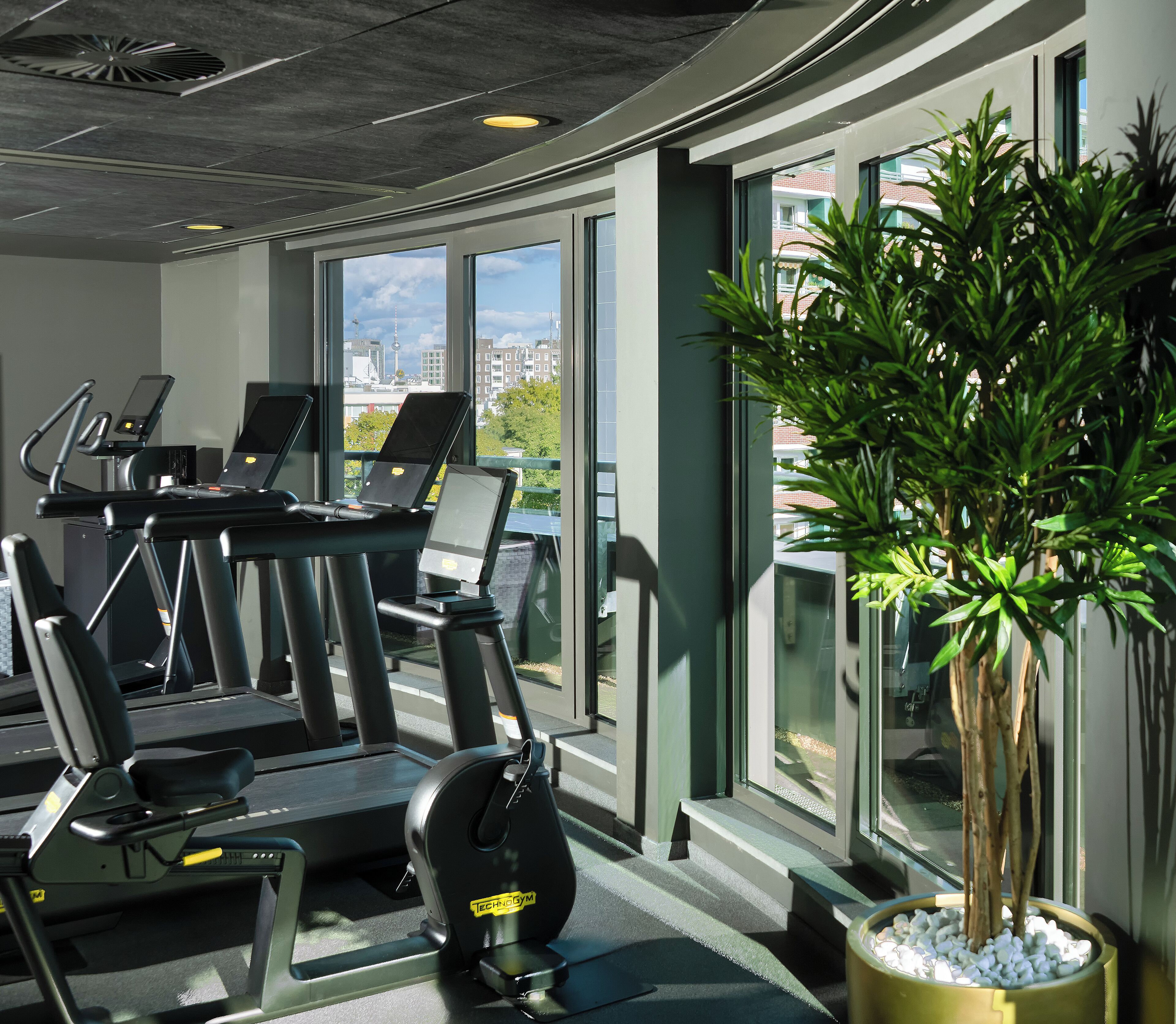 Une salle de sport équipée de tapis de course, de vélos d’appartement et d’une grande plante en pot.