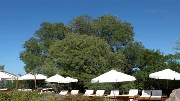 Een binnenzwembad, een buitenzwembad en ligstoelen