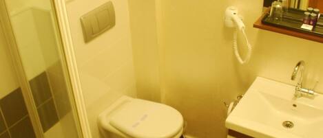 A bathroom with a glass shower enclosure, a toilet, and a sink with a mirror above it.