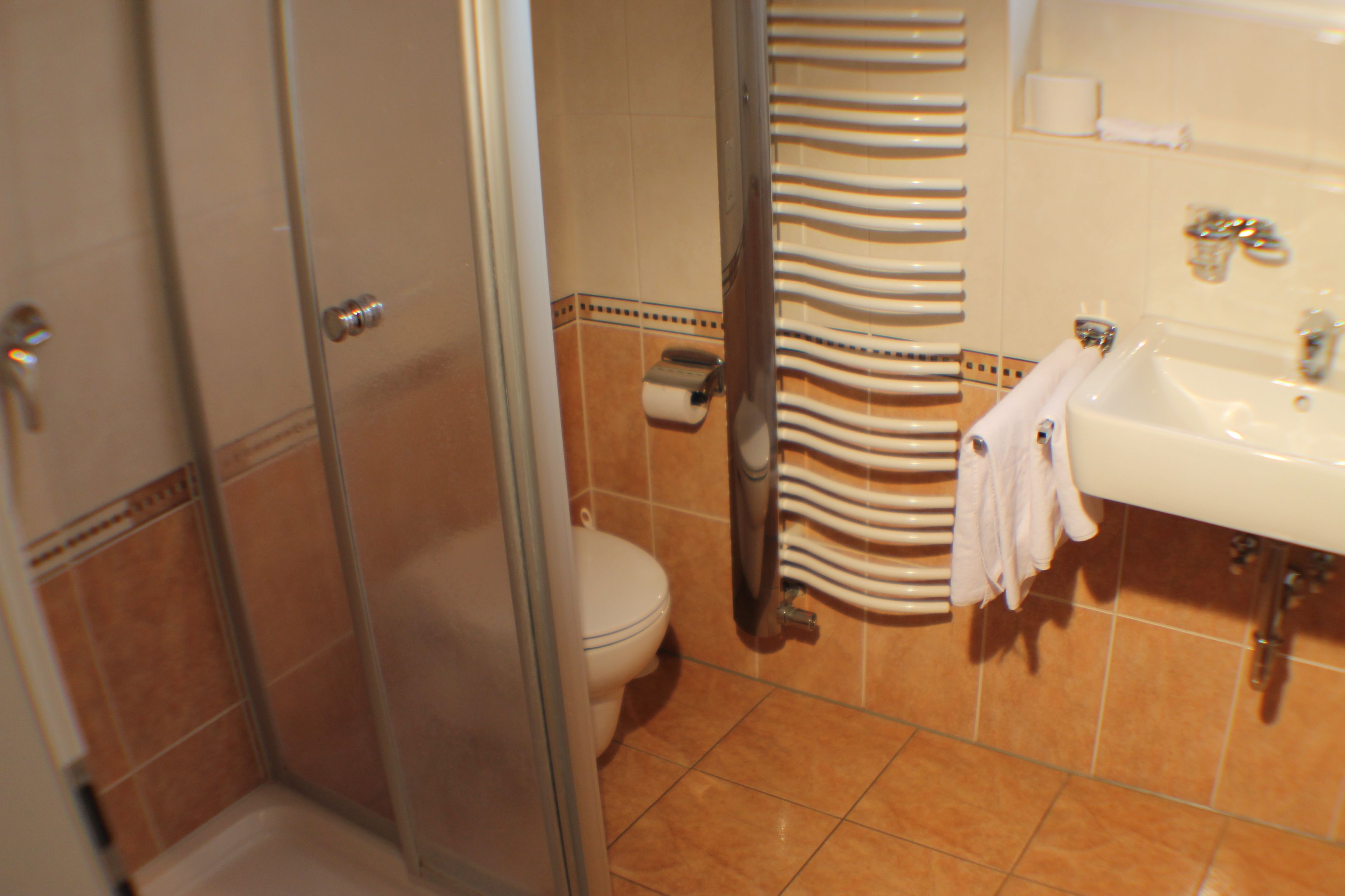 Une salle de bain avec douche, toilettes et lavabo.