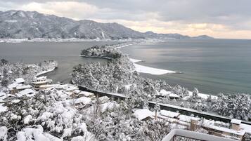A panoramic view of a coastal area with snow-covered trees and buildings, a clear sky, and distant mountains.