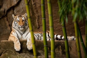 Point of interest - Hilton Garden Inn Columbia Northeast (Columbia)