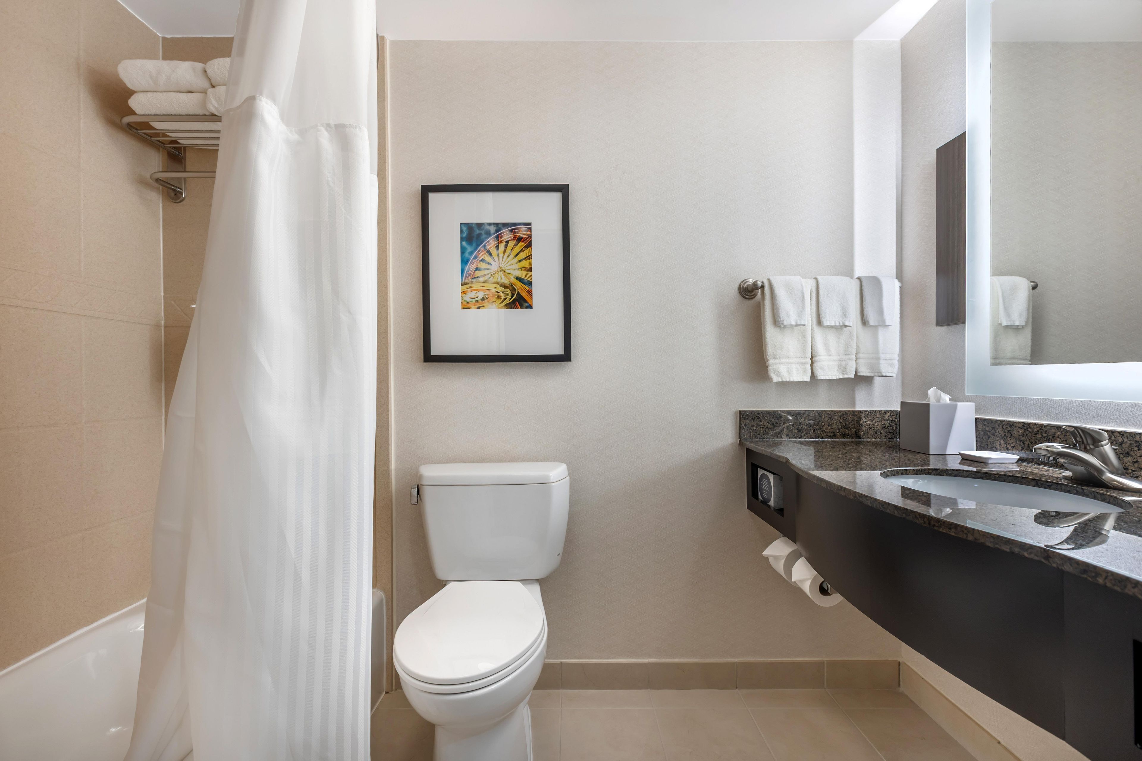 Un baño moderno con cortina de ducha, inodoro, obra de arte enmarco, toallas y lavamanos con espejo.