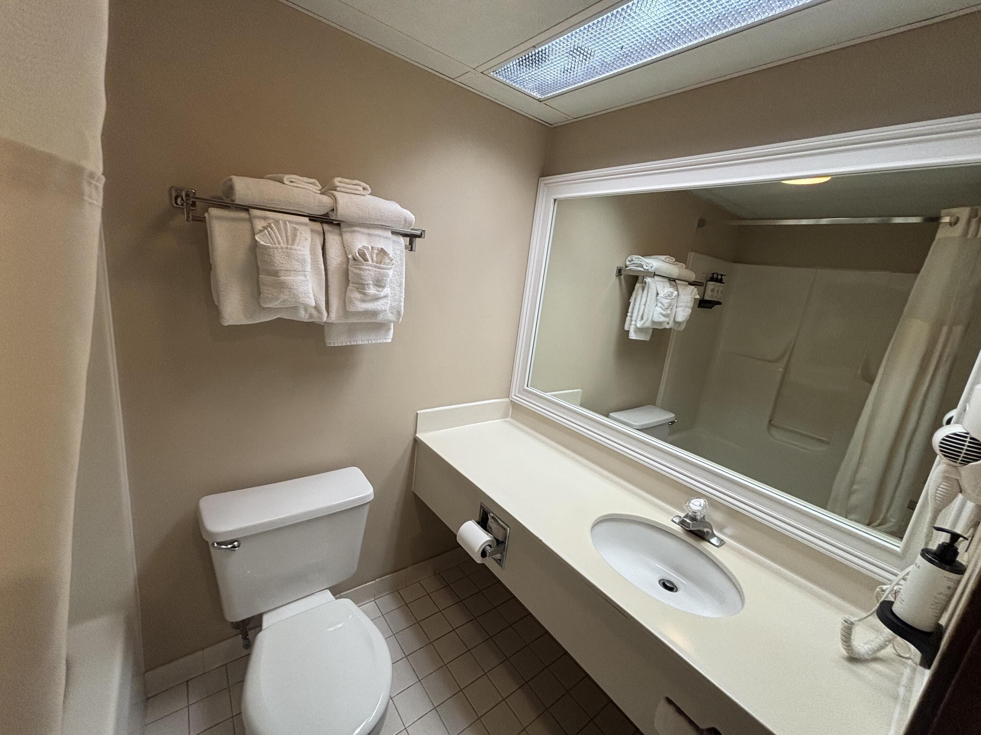 A bathroom with a toilet, sink, and a large mirror.
