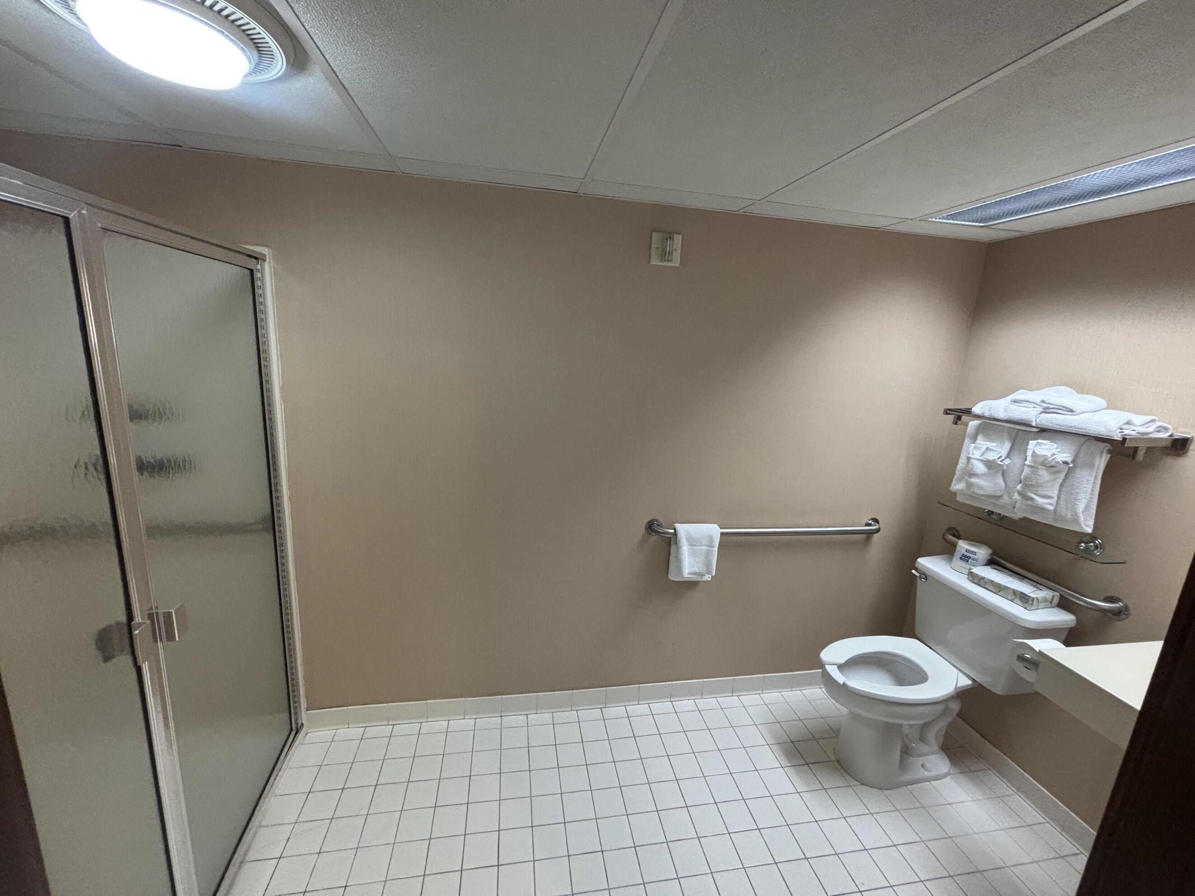 A bathroom with a toilet, a shower stall, and a towel rack.