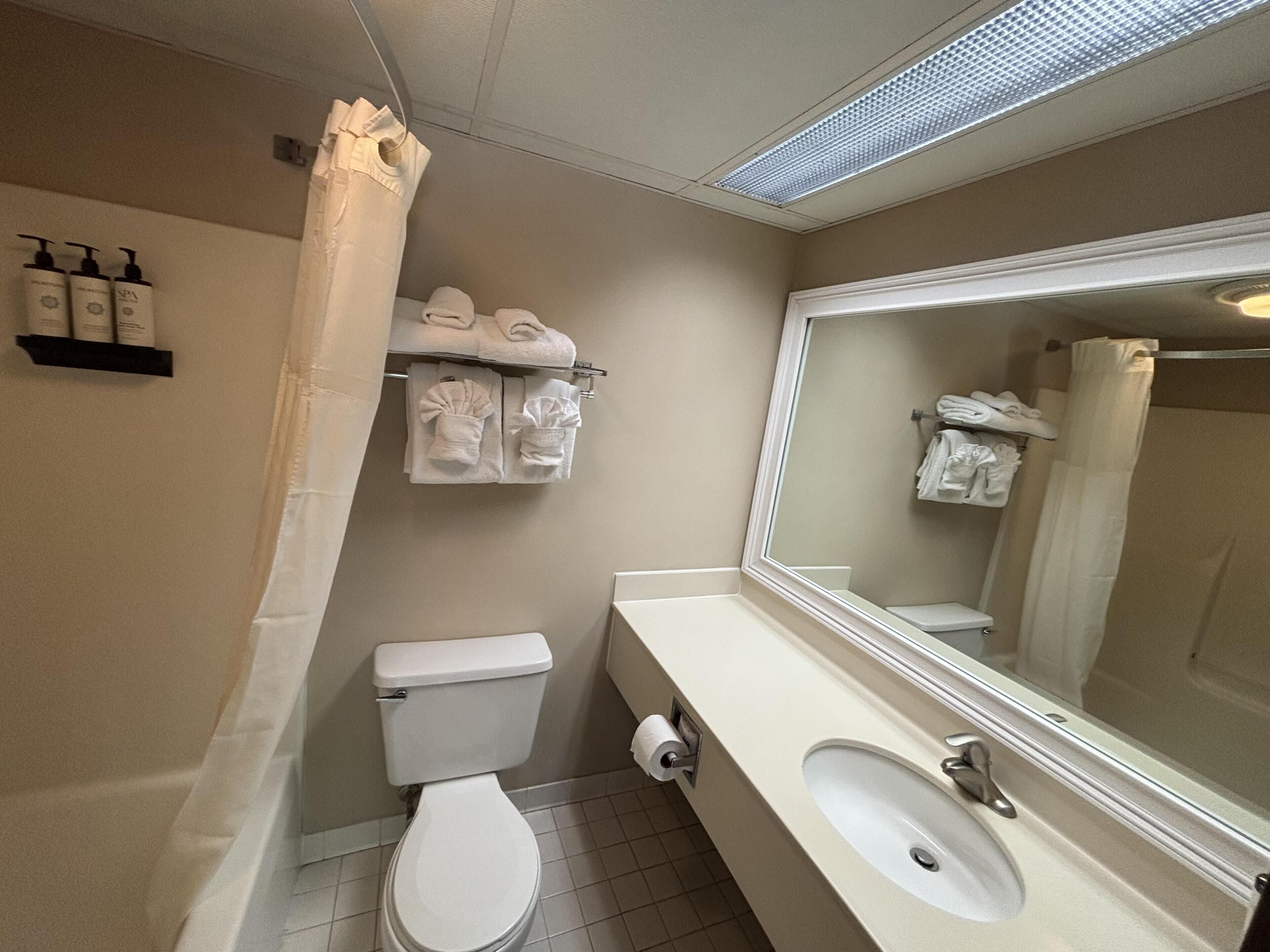 A bathroom with a toilet, sink, mirror, and towel rack.