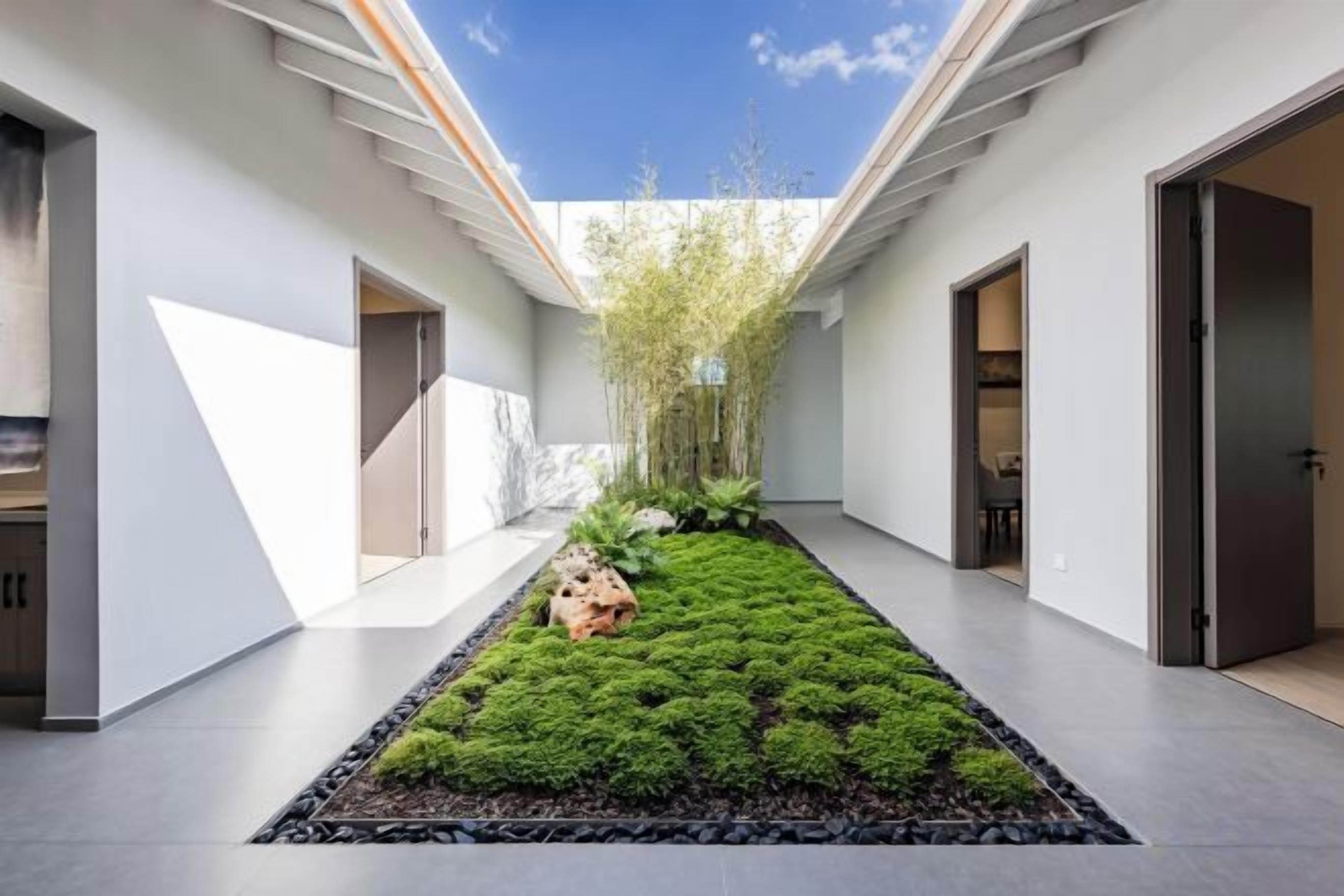 A modern interior with a central garden, a staircase, and a door leading to another room.