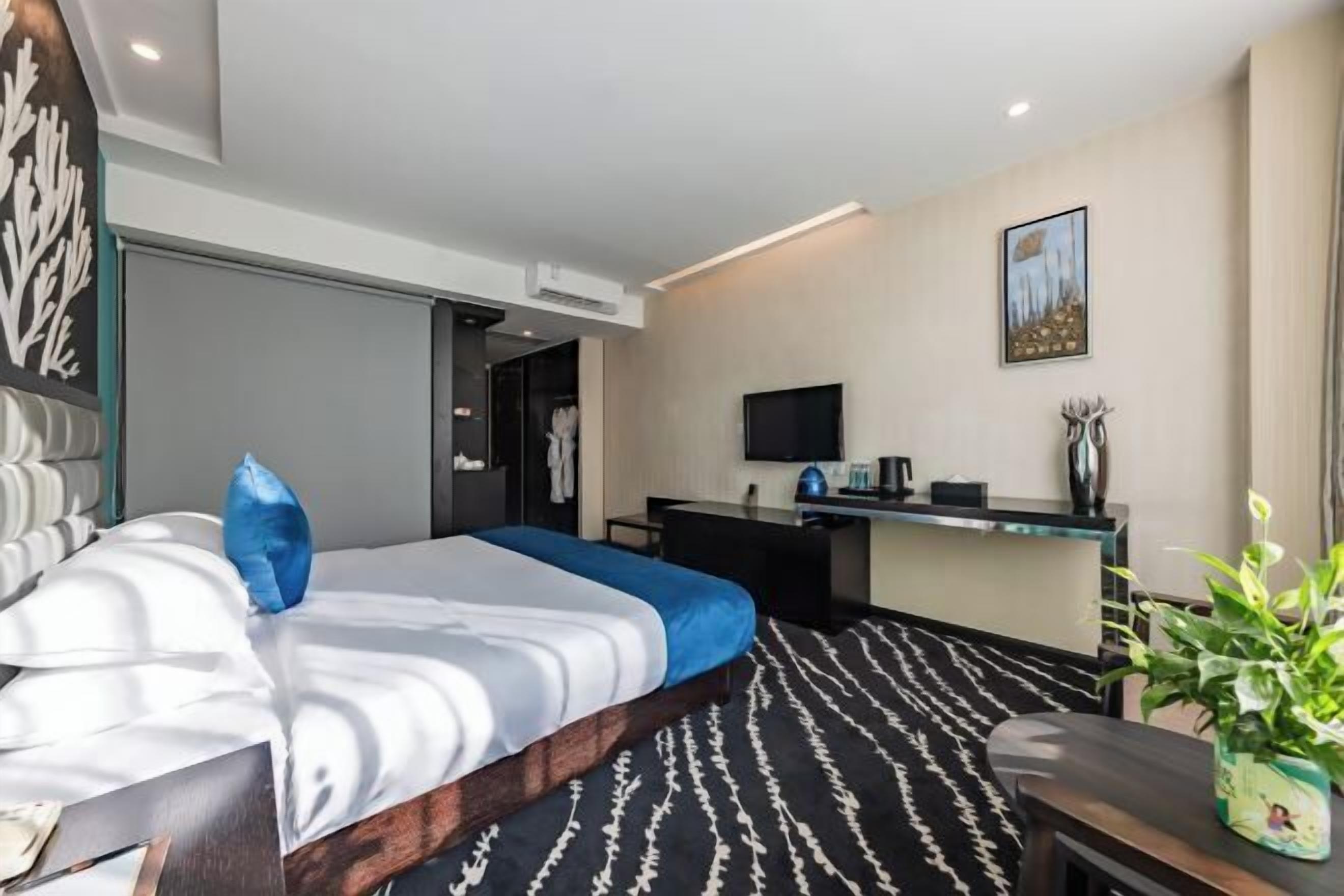 A hotel room with a bed, a desk, a television, and a plant.