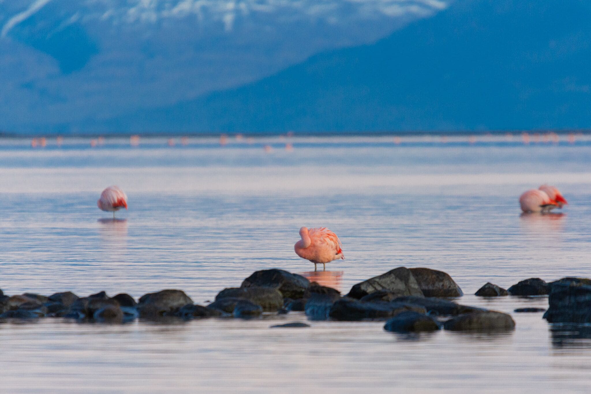 Photo - Hotel Las Dunas
