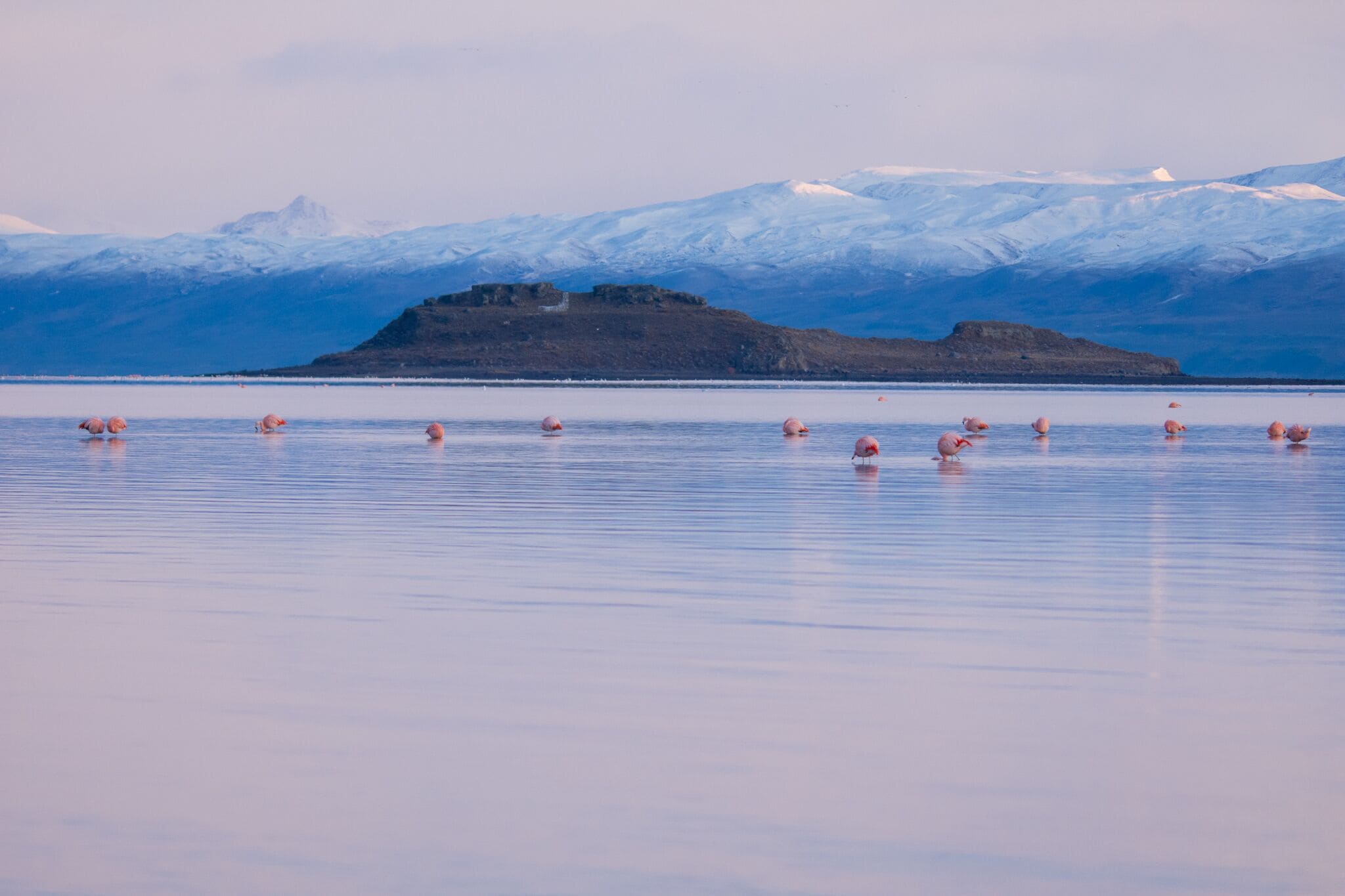 A calm lake with a small island in the center, surrounded by snow-capped mountains.