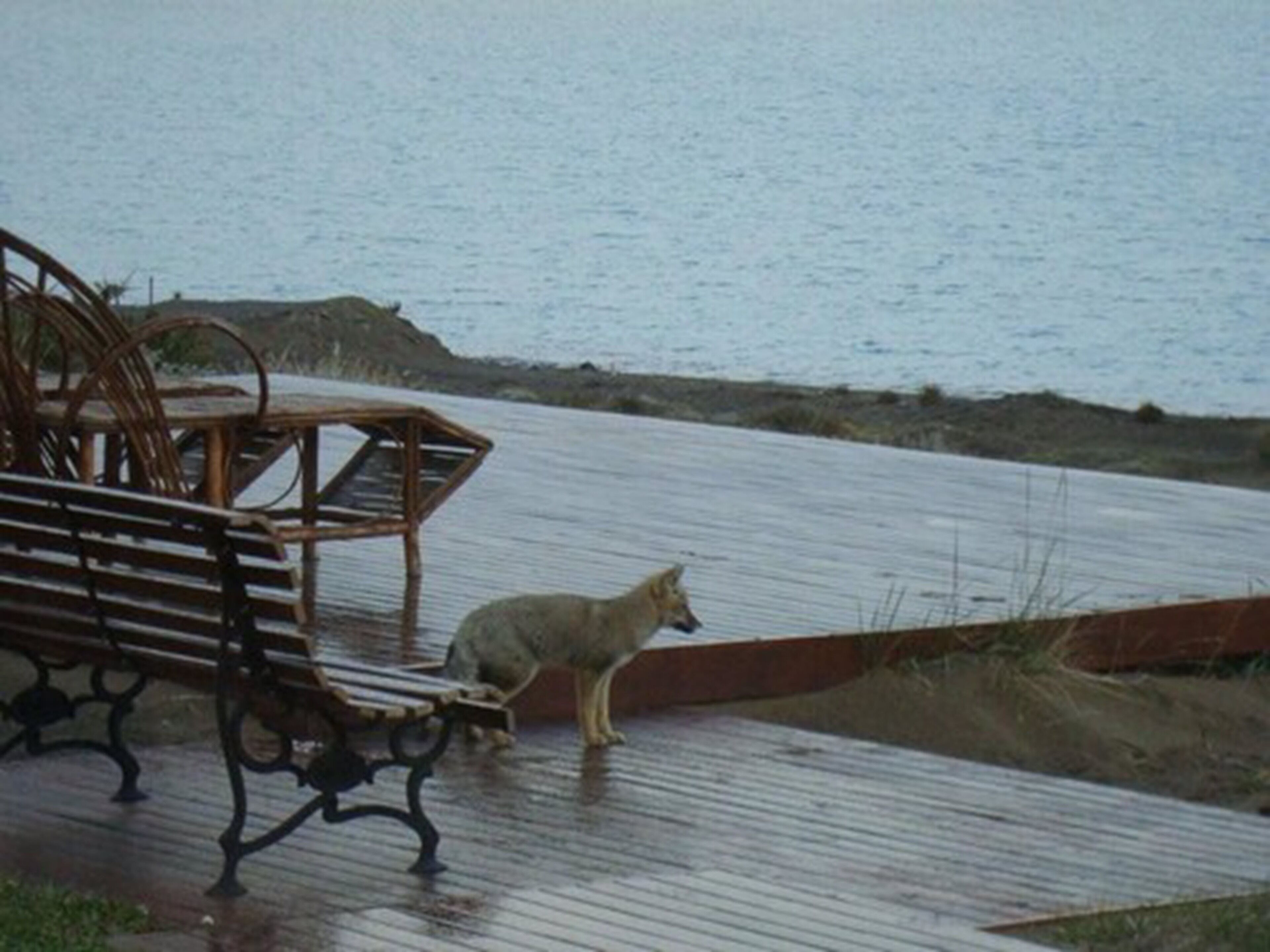 Photo - Hotel Las Dunas
