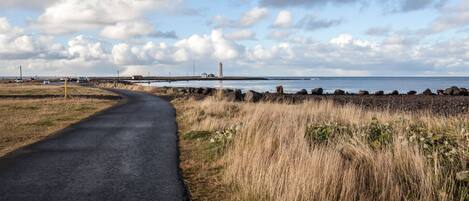 A rural road curving through a field with a lighthouse in the distance.