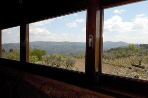 Cottage Romantique, 1 chambre, non-fumeurs, vue montagne | Vue de la chambre