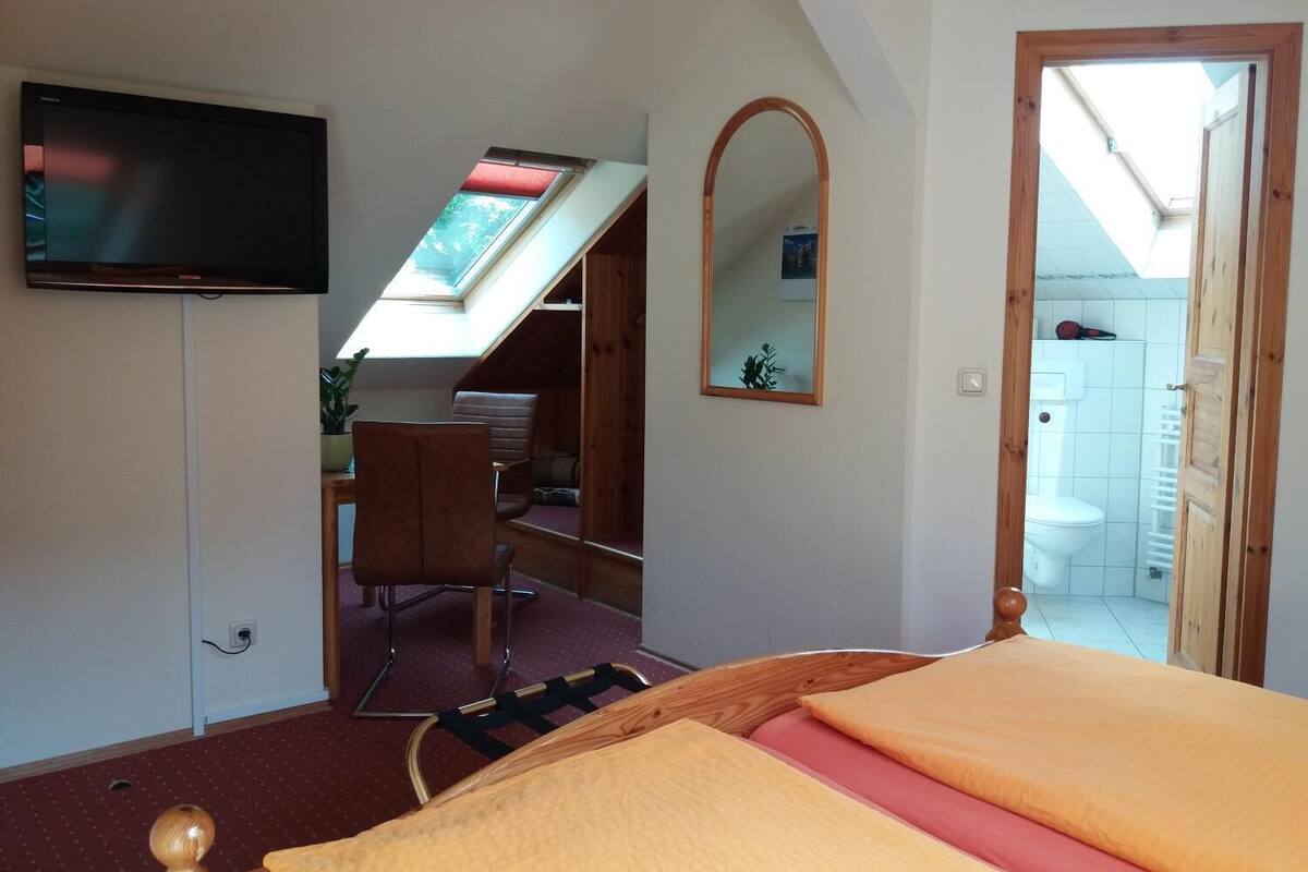 A bedroom with a bed, a TV, a skylight, a chair, and a mirror.
