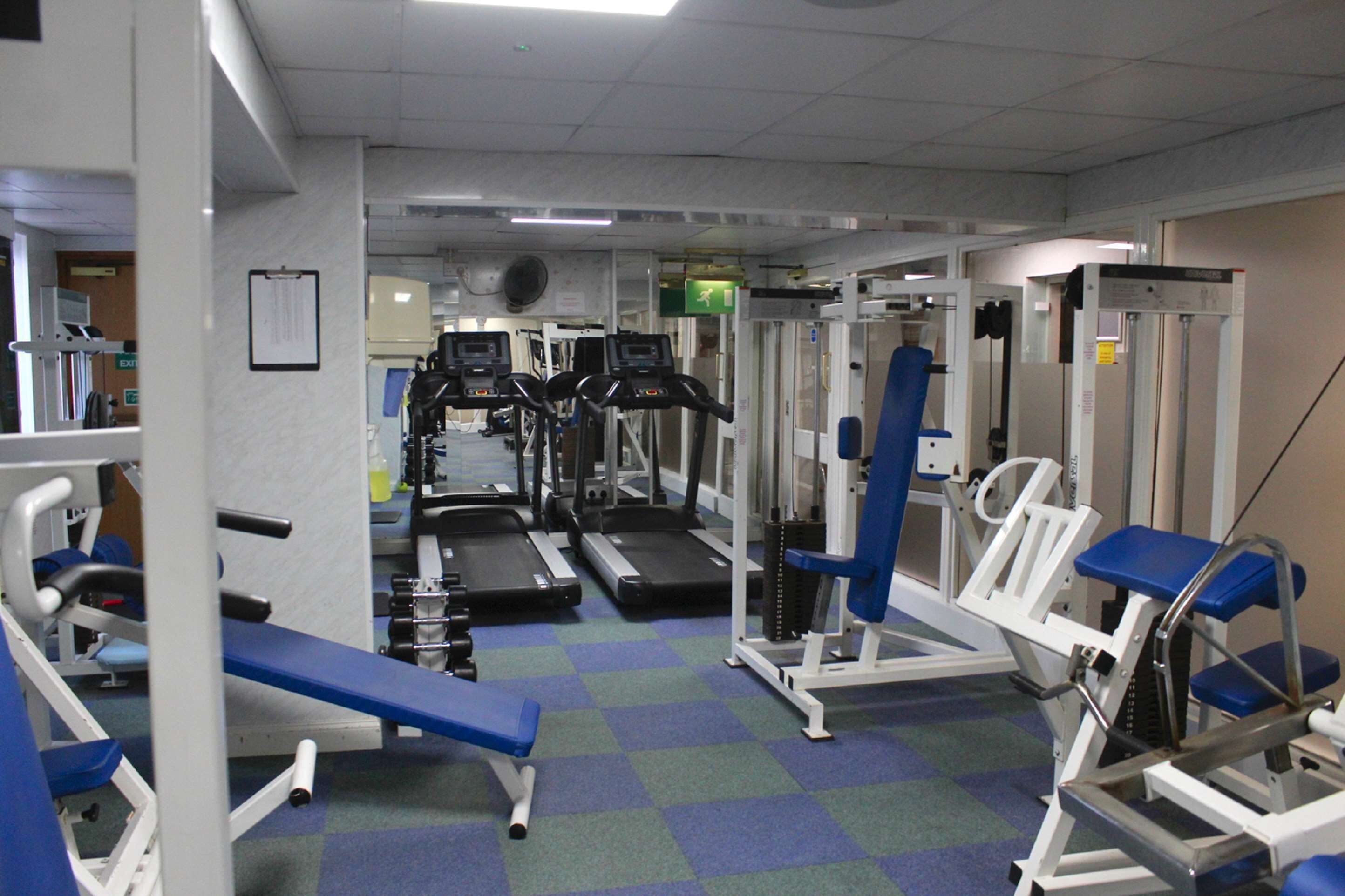 A gym with treadmills, weight machines, and a blue bench.
