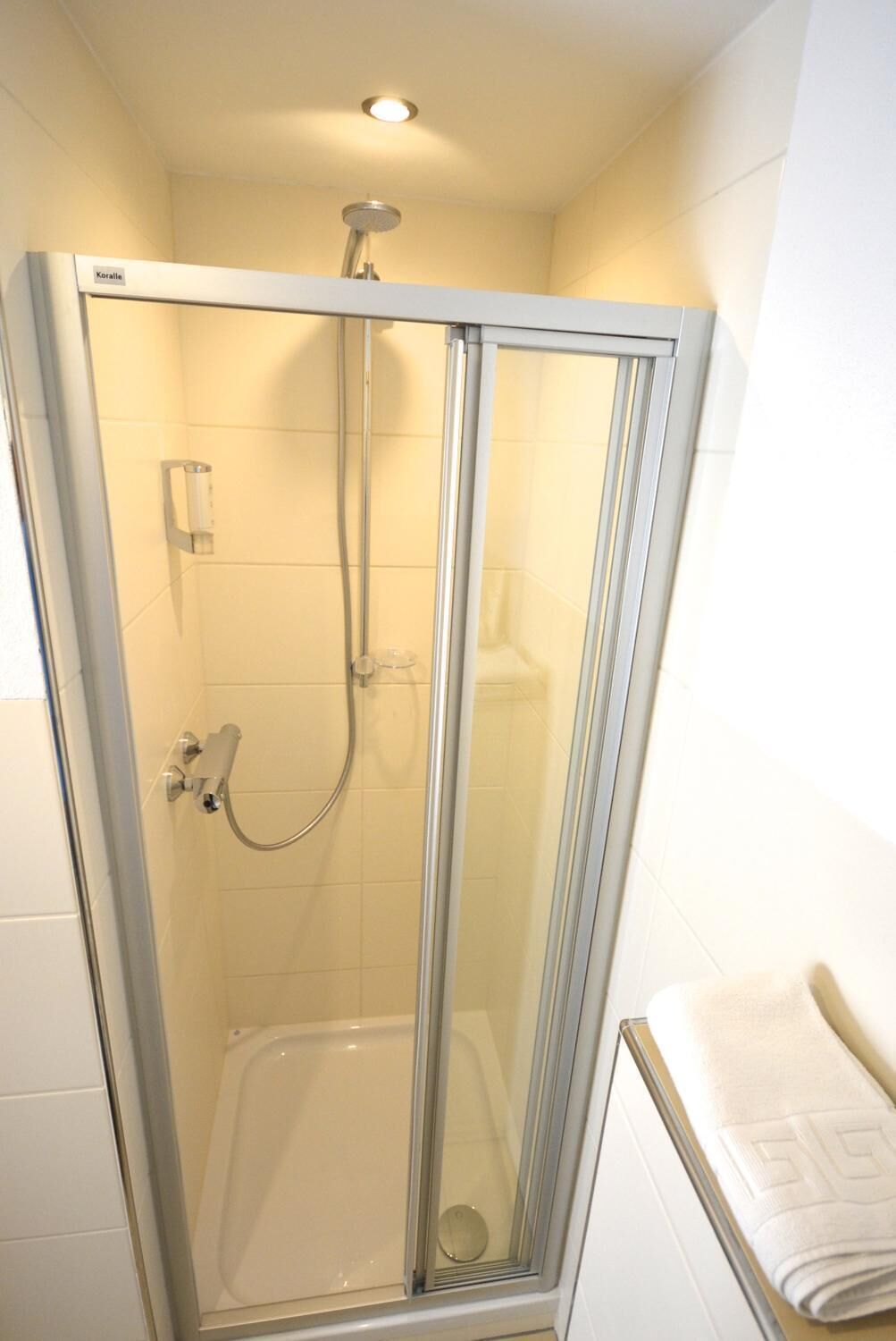 A glass-enclosed shower stall with a handheld showerhead and a wall-mounted faucet.
