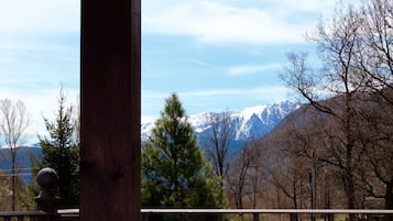 A mountain landscape with snow-capped peaks, a clear sky, and leafless trees.
