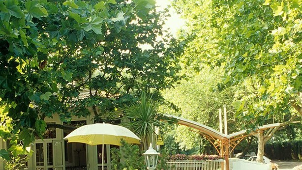 Un espace de restauration en plein air, paisible, avec une table et des chaises, un parasol jaune et un bassin où flottent des fleurs roses au premier plan.